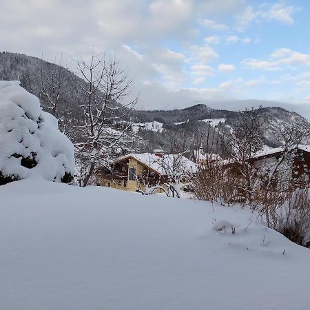 Haus Barbara Lägenhet Forstau  Exteriör bild